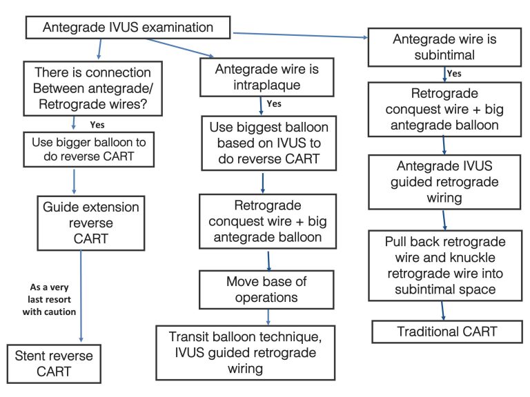 Algorithm for IVUS guided reverse CART APCTO Club